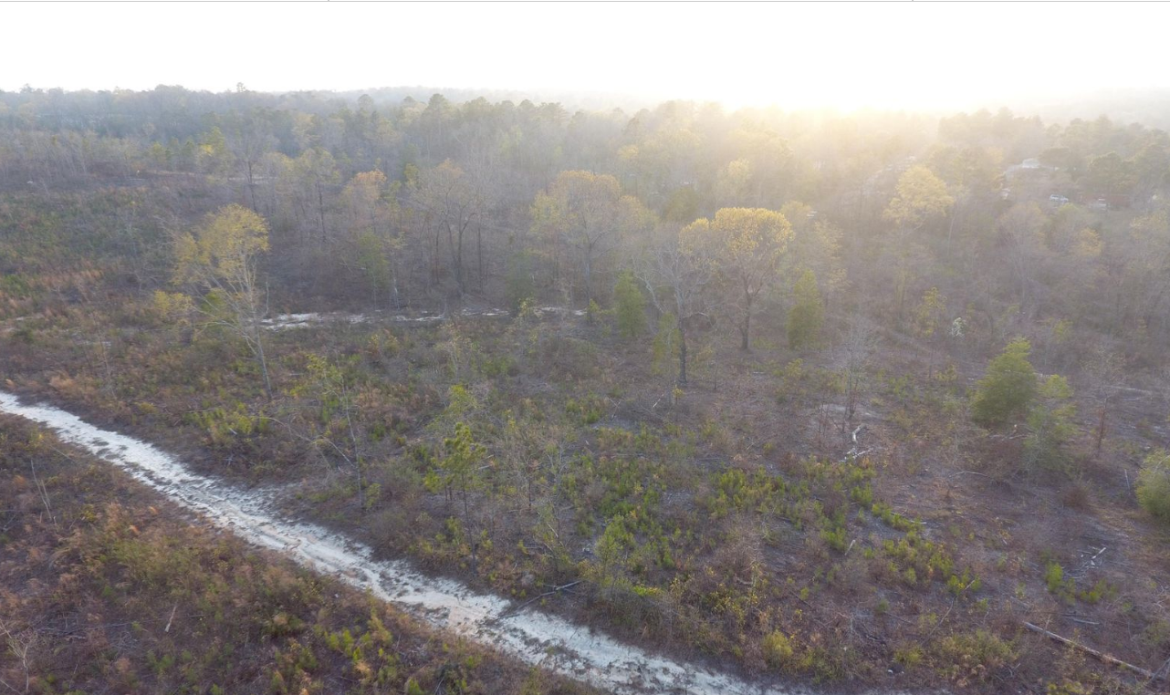 68.64 Acres Warner Robins GA