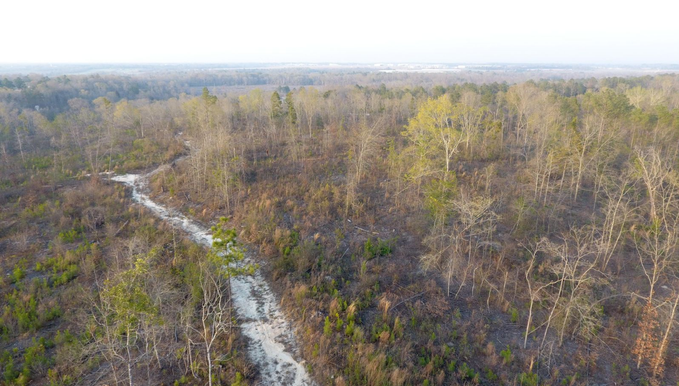 68.64 Acres Warner Robins GA